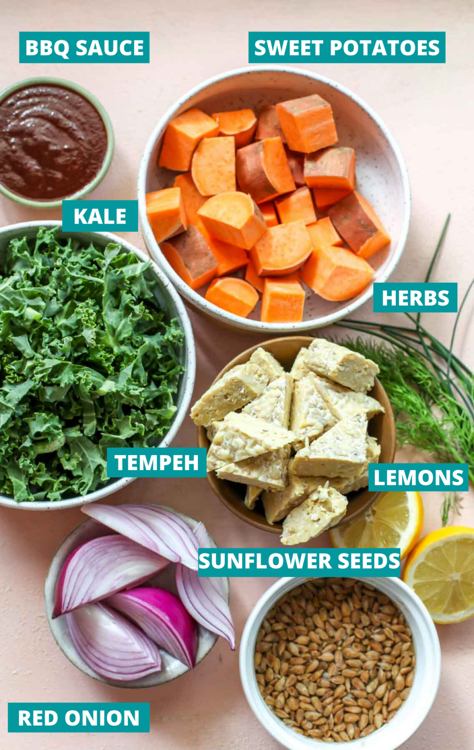 BBQ Tempeh Bowls with Sunflower Seed Ranch Dishing Out Health