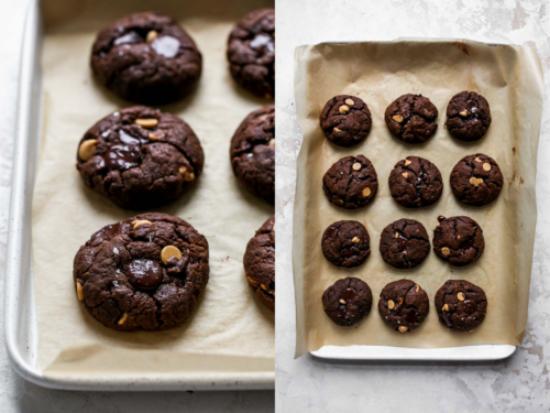 Healthy Chocolate Peanut Butter Cookies - Dishing Out Health