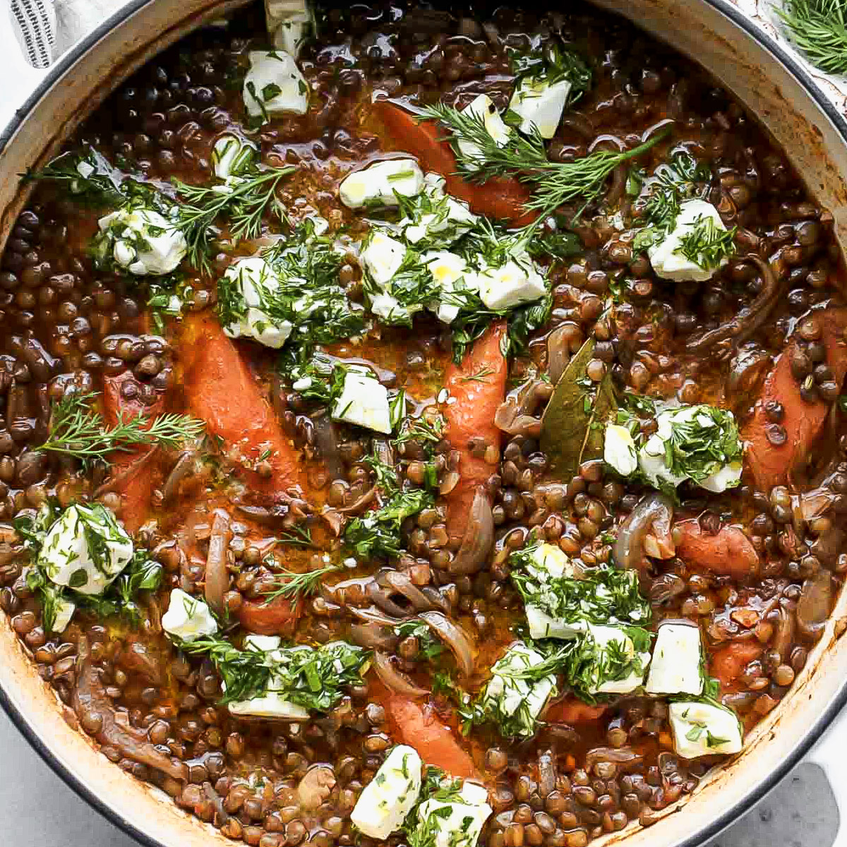 Stewed Lentils And Tomatoes Recipe At Jasper Butler Blog