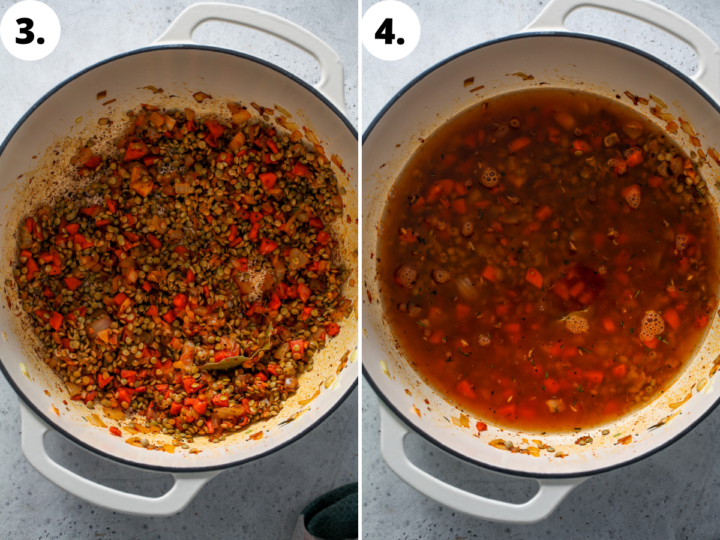 The Best Lentil Soup Recipe - Dishing Out Health